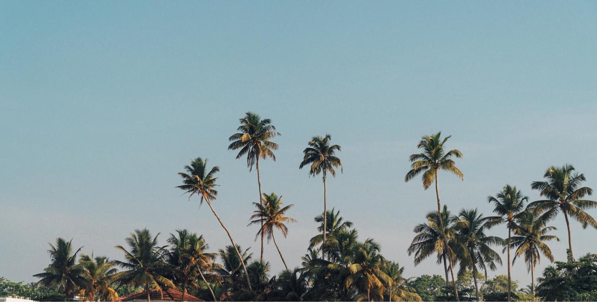 Lucky'S Surf Camp Bed & Breakfast Weligama Dış mekan fotoğraf