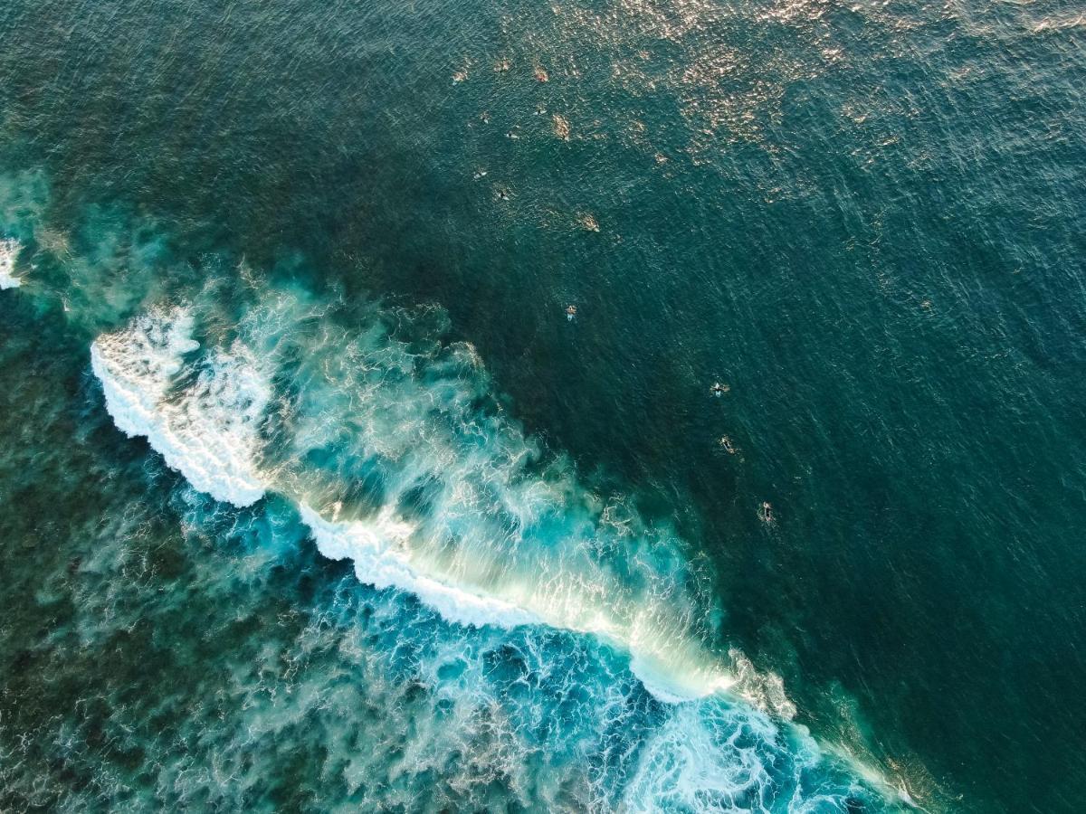 Lucky'S Surf Camp Bed & Breakfast Weligama Dış mekan fotoğraf